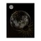 Stupell Industries Minimal Planetary Galaxy Canvas By Daniela Santiago